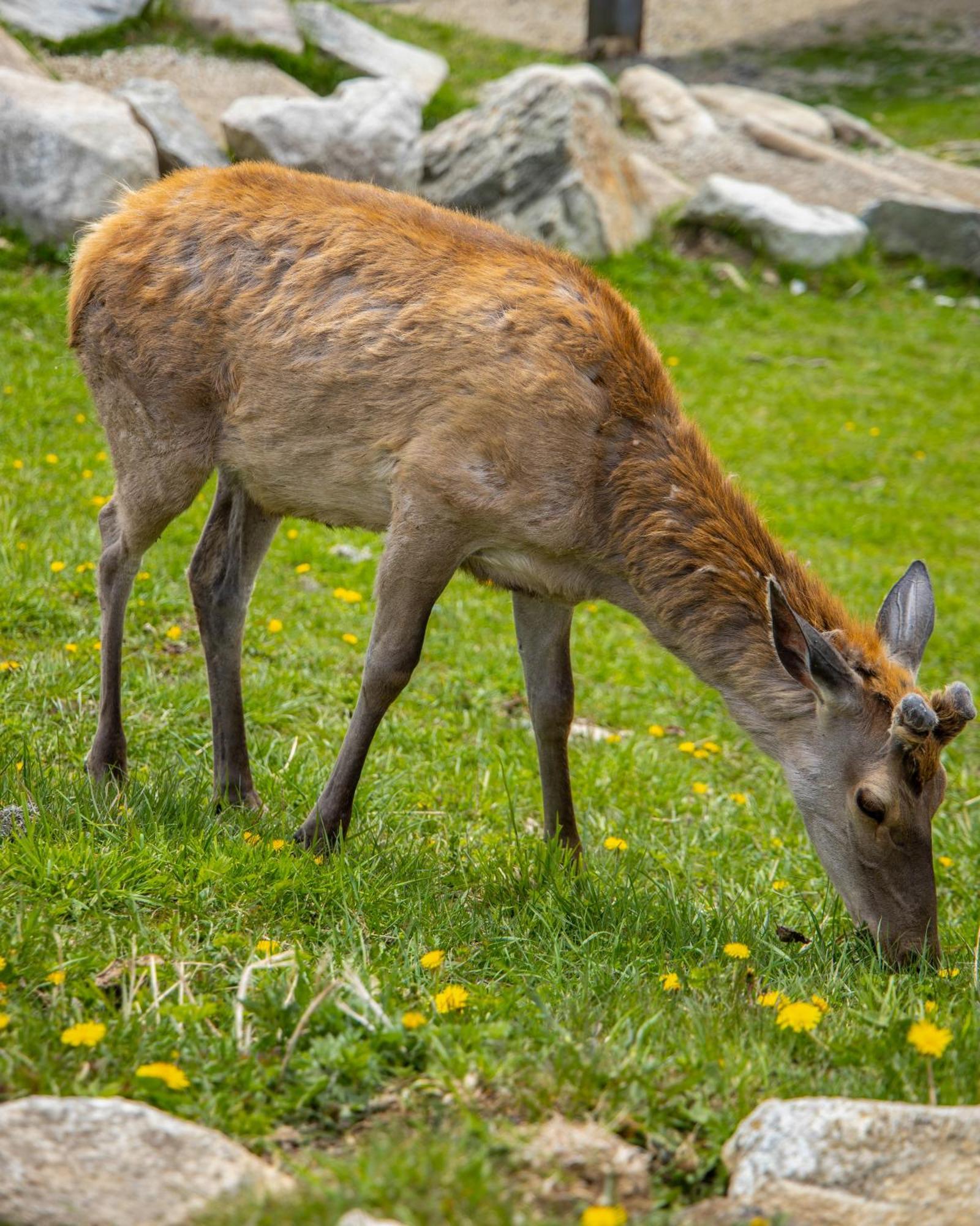 Apartmány Lesy a Lúky - V srdci Tatier Vysoké Tatry Exteriér fotografie