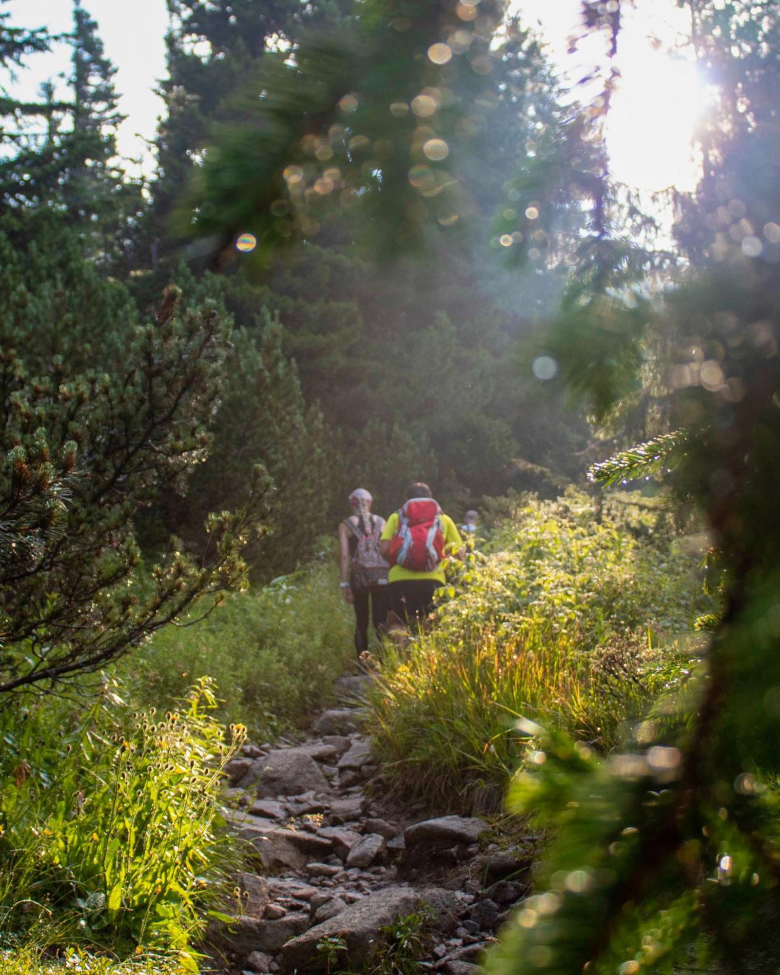 Apartmány Lesy a Lúky - V srdci Tatier Vysoké Tatry Exteriér fotografie